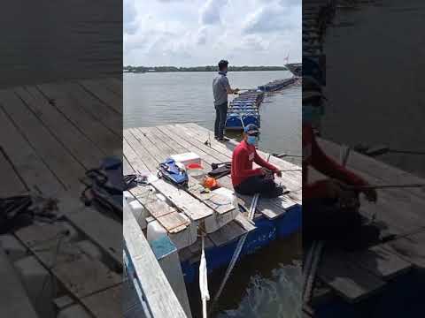 mancing pinggir laut belawan-medan Sumut…joss 😙😙😙 #belawan #mancing #strike #siakap