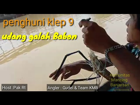 ANGLER GUDEL ||MANCING UDANG GALAH DI KELEP 9 SAAT SUNGAI CITANDUY MELUAP ,LIHAT HASILNYA ??!