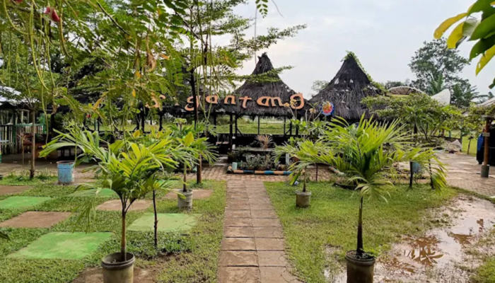 taman-wisata-sigantang-bogor,-menikmati-suasana-pedesaan-dan-sawah-hijau