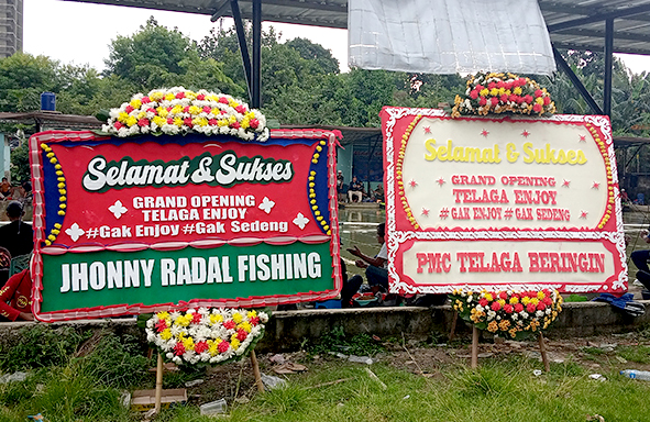 grand-opening-telaga-enjoy,-tiket-3,5-juta,-syakila-juara-induk-1-terberat