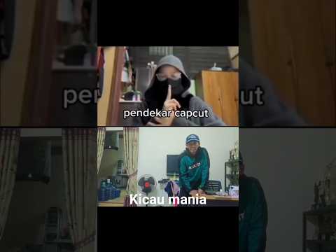 adu sakti pendekar capcut vs kicau mania. #shorts #kicaumania #muraibatu #fameclub