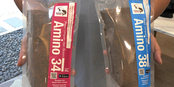 Pellet Amino Always Strike : Mengandung Neuroattractant Untuk Mas, Lele, Patin, Bawal