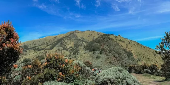 Pengalaman Saya Mendaki Gunung Merbabu via Selo, Cocok untuk Pemula?