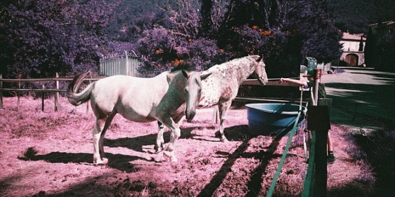 Lomography Community Recap: December 2025