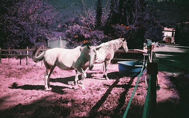 lomography-community-recap:-december-2025