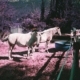 lomography-community-recap:-december-2025
