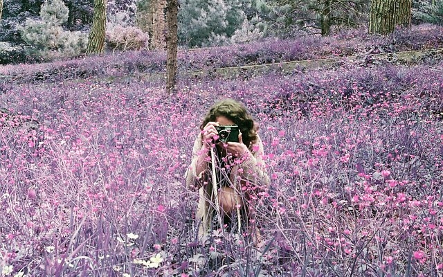 in-depth:-infrared,-a-film-that-hit-the-hot-spot