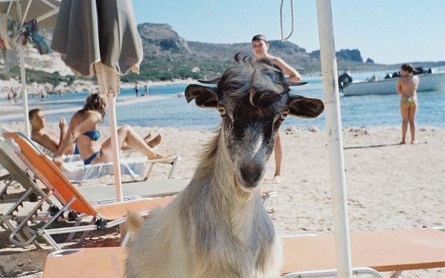 field-testing-the-lomomatic-110:-adrian’s-greek-getaway