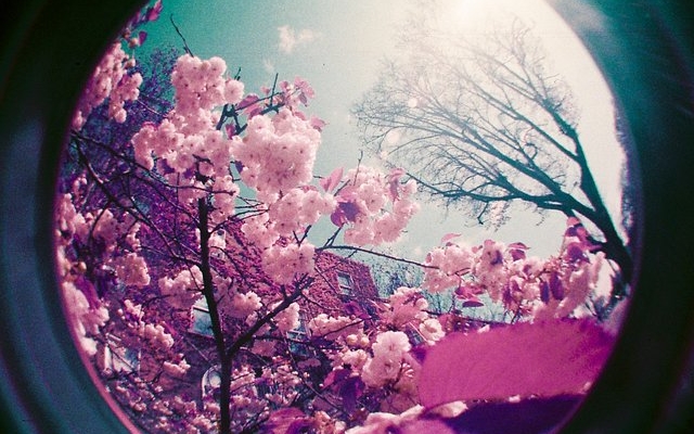 spontaneous-&-magic-with-merve-yilmaz-and-the-fisheye-no.-2-35-mm-camera