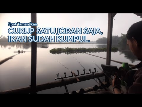 SIAPA SANGKA, BARU SATU JORAN DISERANG SEGEROMBOLAN IKAN – Mancing Saguling 2025 #78