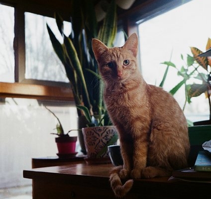 lomo-mc-a-first-impressions-with-trev-lee