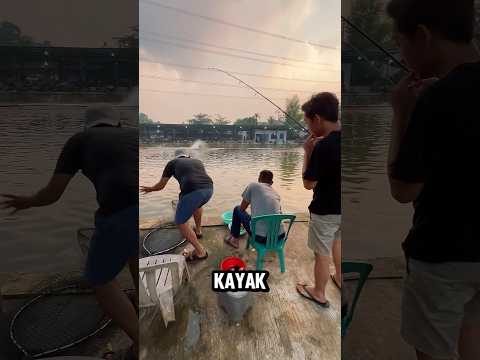 “Strike Galatama! Pemancing Sampai Berdiri Panik‼️” #shorts #mancing #fishing #casting