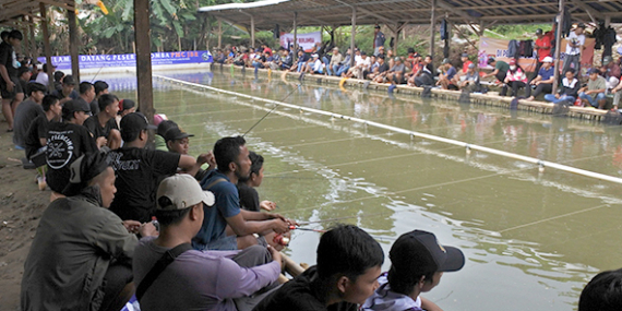 JBR (Jabrik) : Kolam Lomba Pelampungan Mas 48 Lapak, Tiket Lombanya Murmer