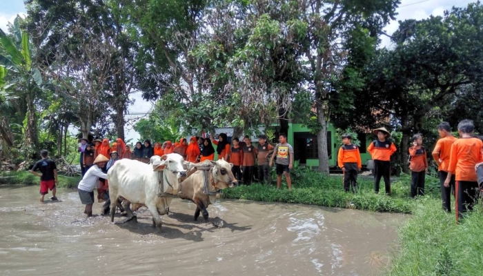 desa-wisata-brayut,-merasakan-pengalaman-budaya-dan-bertani-di-yogyakarta
