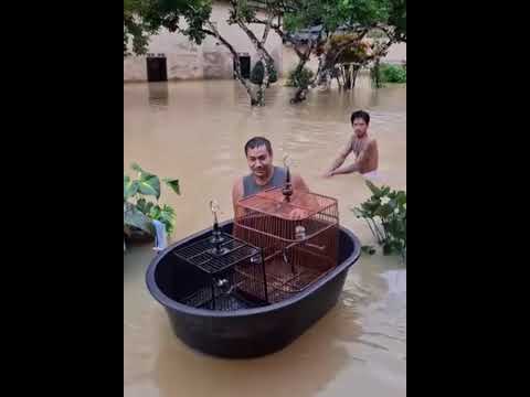 Rumah Kebanjiran – Tips Ngadepin Banjir Ala Kicau Mania