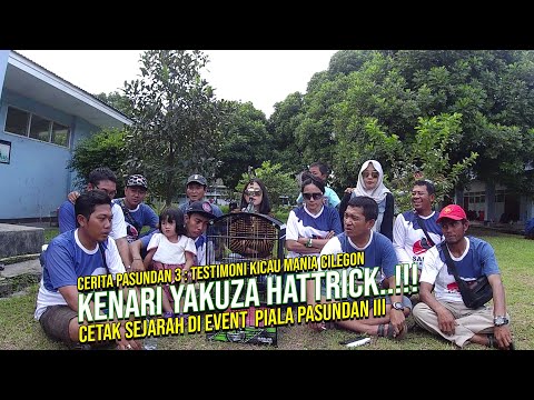 Cerita Pasundan 3 : Testimoni Kicau Mania Cilegon Kenari yakuza Hattrick
