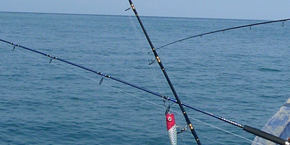 Beragam Teknik Mancing Tenggiri, Sensasi Strike Ikan Dambaan Pemancing