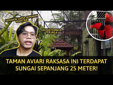 Para Kicau Mania Merapat! Taman Aviary Ini Bakal Bikin Ngiri | Taman Aviari By Isti Anggana