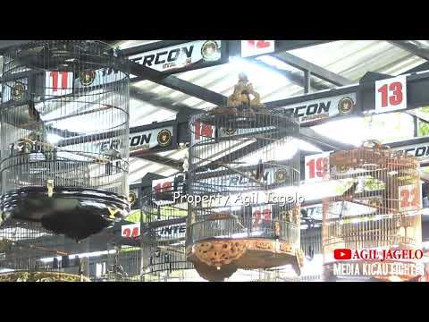 SESI KE 18 | TRACKING CAM 2 | CLASS MURAI BATU B WONGE KICAU | EVENT MEDIA AWARD