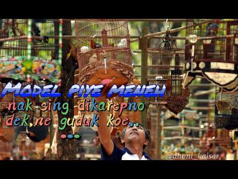 Story wa Kicau mania