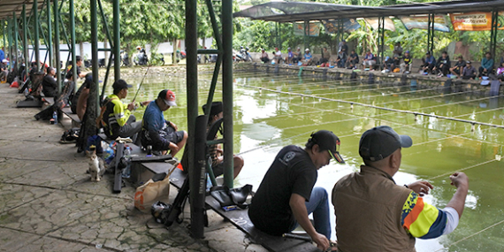 Sasak Liong : 44 Lapak, Minggu Lomba Pelampungan Mas, Hari Biasa Lomba Gaplean
