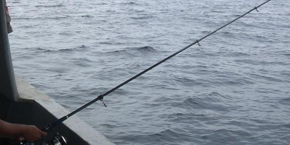 Apa Itu Mancing Dasaran (Bottom Fishing) & Mancing Ngoncer, Berikut Penjelasannya