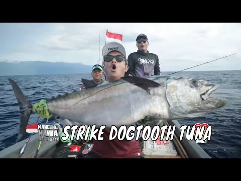 Menaklukkan Perlawanan Ikan Monster Perairan Nabire | MANCING MANIA STRIKE BACK (16/08/25) Part 1