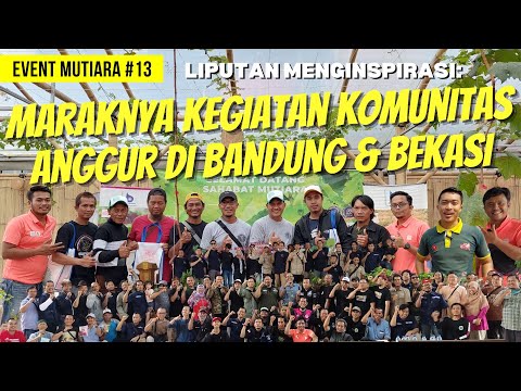 LIPUTAN KOMUNITAS ANGGUR: FIRIZCO BANDUNG, WHITE GARDEN & FESTIVAL ANGGUR BEKASI | EventMutiara #13