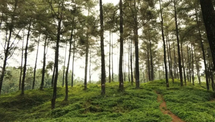 7-destinasi-wisata-bantul-yang-nggak-spesial-dan-cukup-dikunjungi-sekali-seumur-hidup