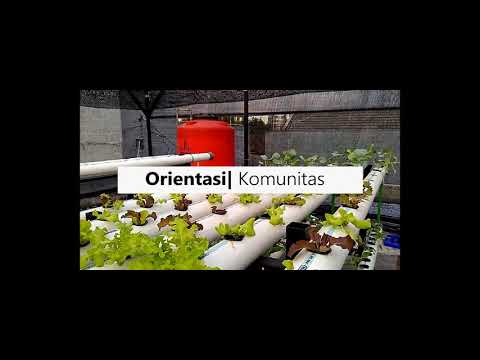 Liputan Komunitas Hidroponik Cikarang Versi XII IPS 4 MAN 1 BEKASI