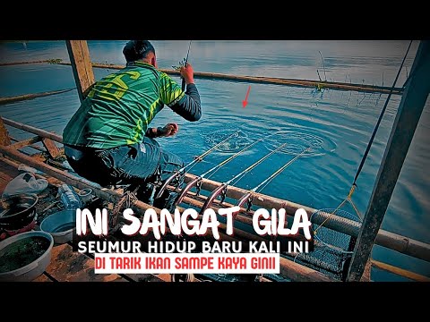 TARIKAN IKAN SUPER BESAR YANG SANGAT GILAA‼️MANCING MANIA