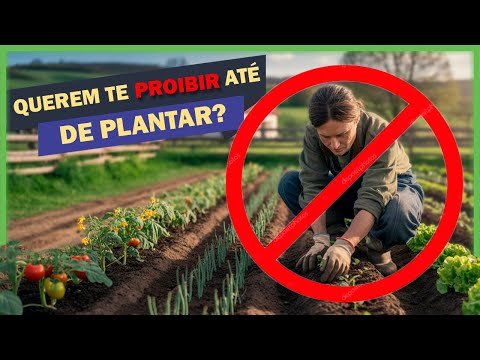 Por que a ELITE GLOBAL quer te pribir de plantar sua própria comida?