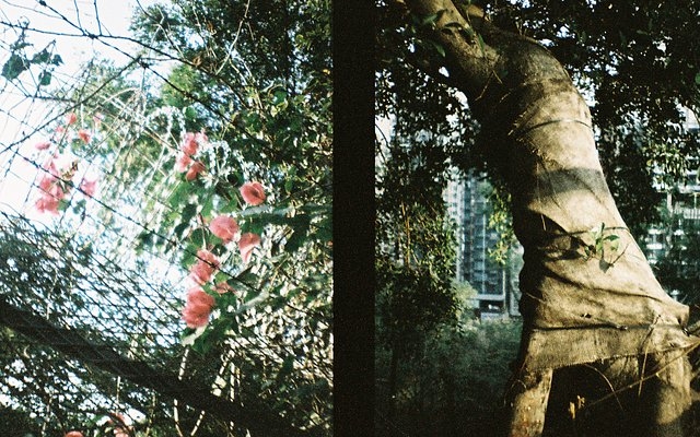 a-half-frame-film-camera-story:-the-lomourette-with-henry