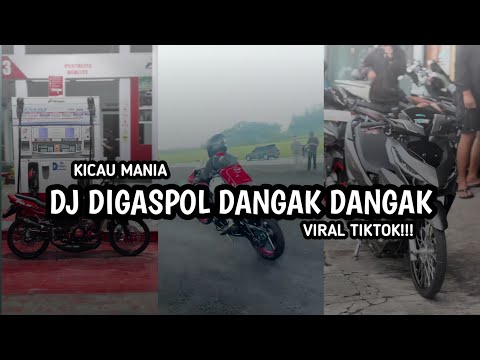 DJ GAS POL DANGAK DI GAS POL DANGAK DANGAK ( KICAU MANIA ) VIRAL TIK TOK TERBARU 2026‼️