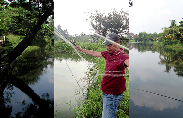 kabarmancing-channel-:-serunya-liat-angler-mancing-jaring,-berburu-ikan-nila