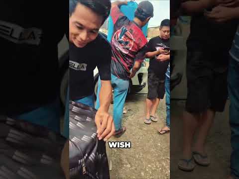 Sidak kicau mania