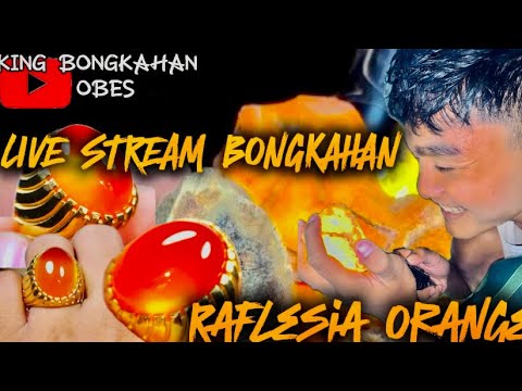 🔴LIVE “Akik Langka dan Berharga, Siapa yang Mau?”