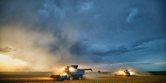 Perang Trump terhadap Iran Bisa Mengacaukan Petani AS