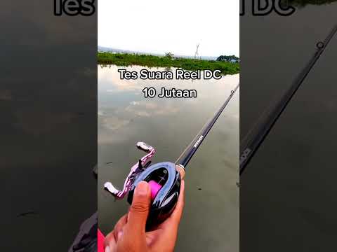 Merdu Sekali Suara Reel BC  #mancing #kail #fishing #castinger #mancingmania #fhishing #angler