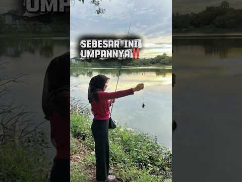 Mancing ikan disungai besar #mancing #fishing