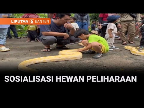 Komunitas Hewan Lakukan Sosialisasi Hewan Peliharaan | Liputan 6 Banten