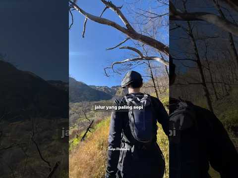 GUNUNG MERBABU VIA WEKAS SEPI PENDAKI?? #pendaki #pendakian #gunung