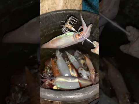 Part 3 mancing cumi cumi laut dalam #wakatobi #fishing #speedboat #sukubajo #mancing #mancingmania