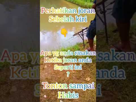 Strike Ikan Tawes#mancing#shorts