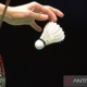 pbsi-tak-kirim-atlet-ke-serangkaian-seri-bwf-di-kuba-dan-brasil