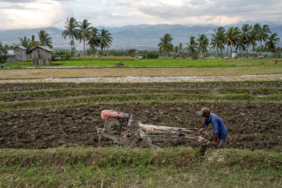 kapan-el-nino-2026-melanda-indonesia?-ini-prediksi-musim-kemarau