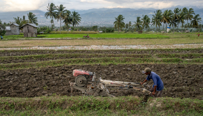 kapan-el-nino-2026-melanda-indonesia?-ini-prediksi-musim-kemarau