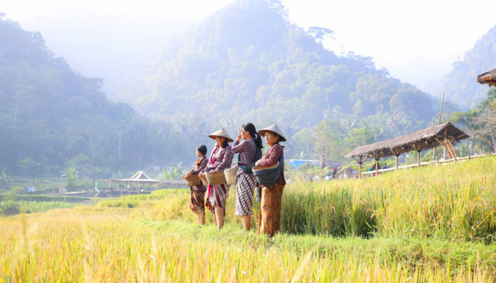 cerita-warga-sriwulan-kendal-kembangkan-wisata-kalikesek-sampai-bisa-bagi-bagi-thr