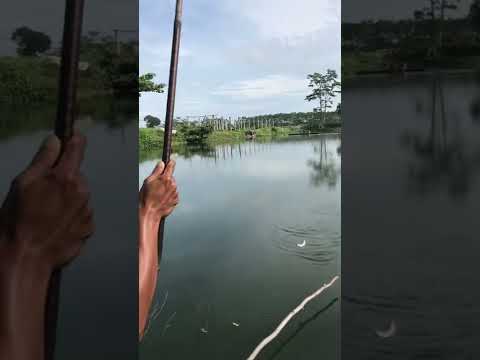 Micro fishing || mancing wader di galian pasir kediri