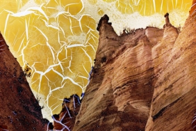 creators-in-focus:-the-fragility-of-land-through-ella-morton’s-mordancage-and-film-techniques